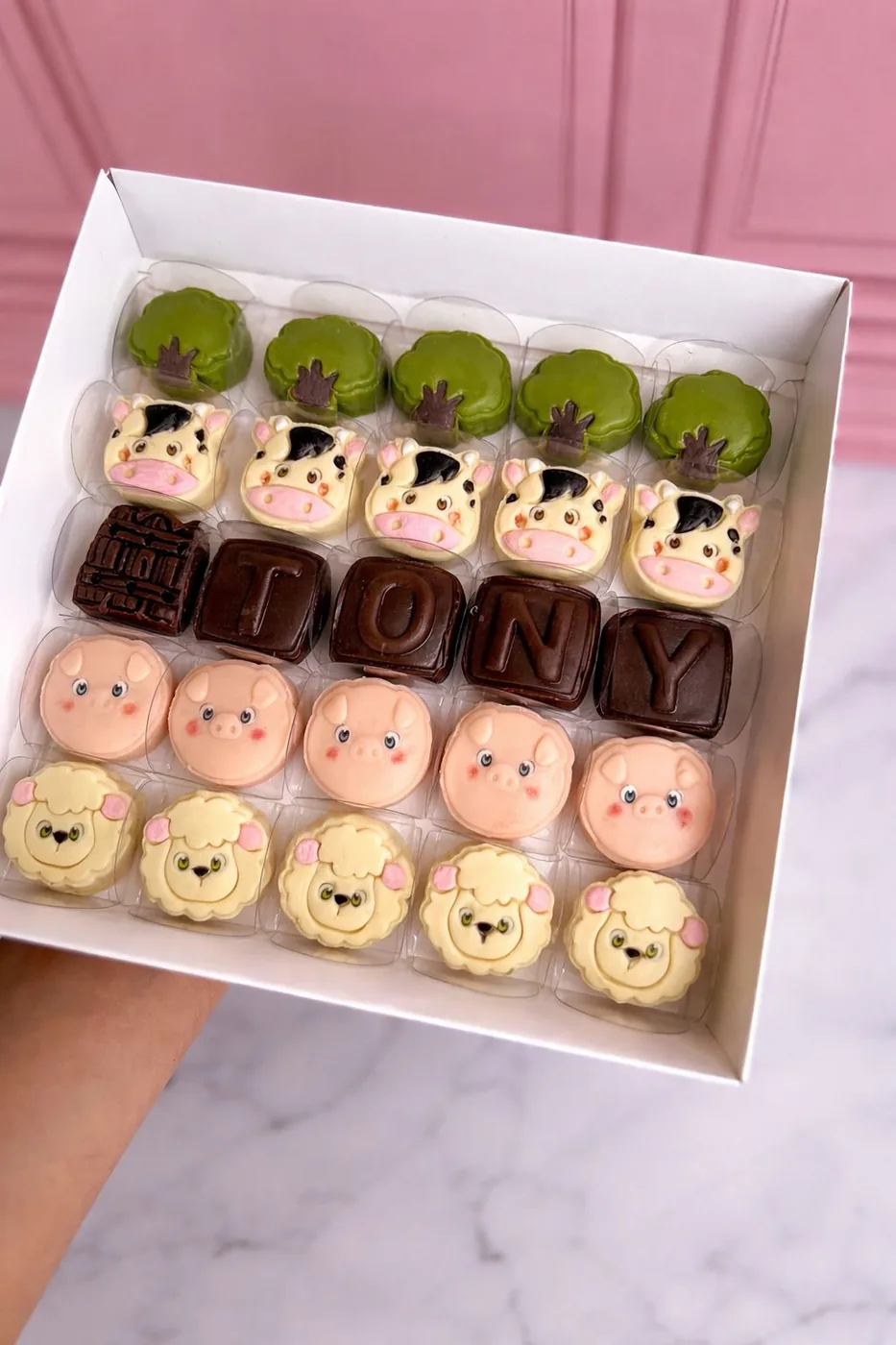 Caixa temática com doces modelados de fazendinha e nome em chocolate.